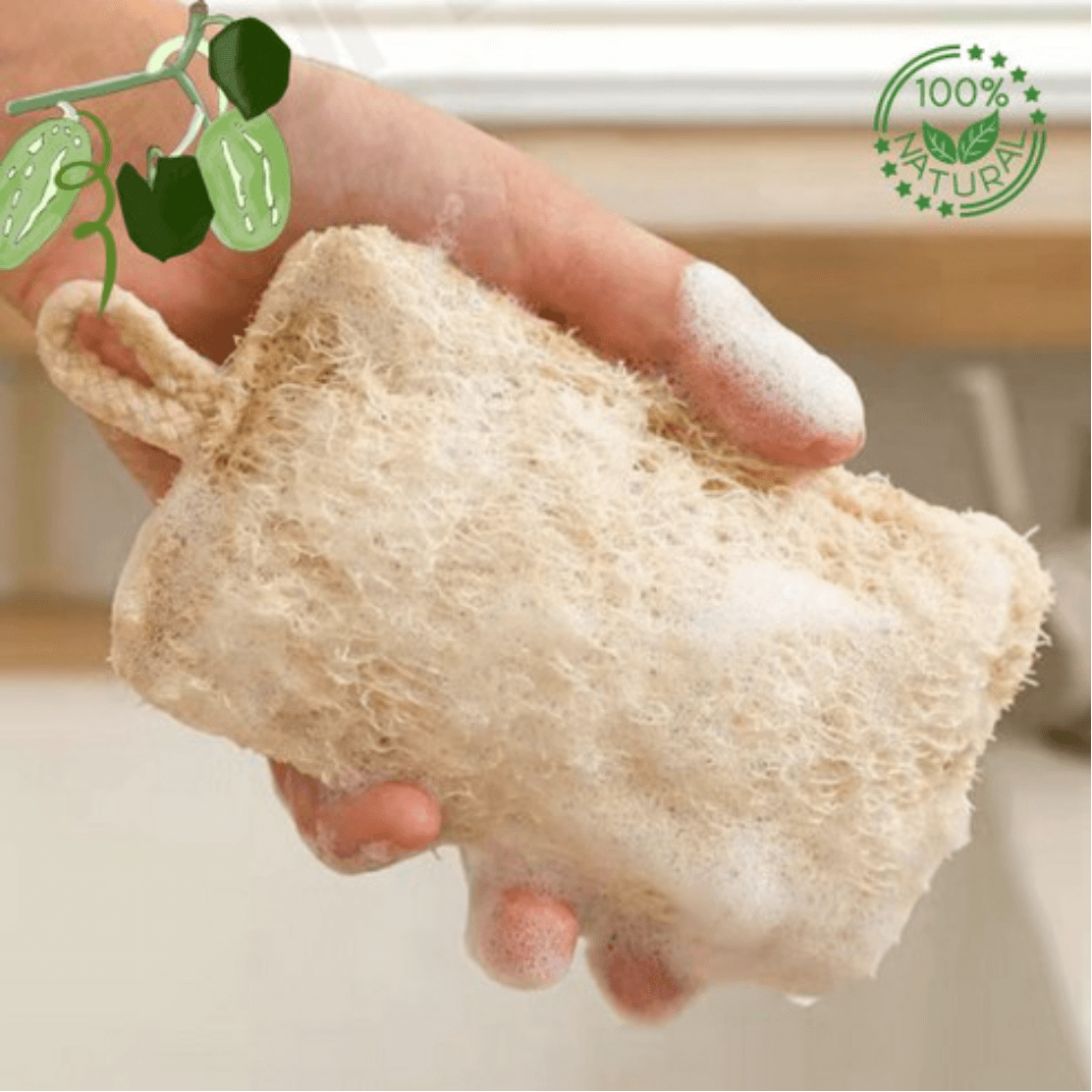 Natural Loofah Sponge