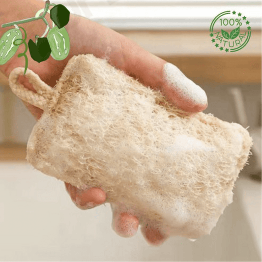 Natural Loofah Sponge