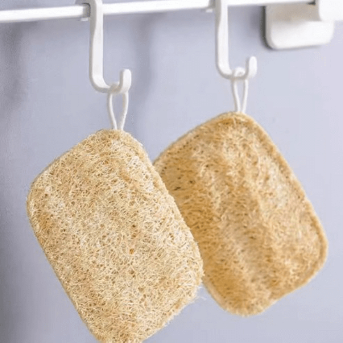 Natural Loofah Sponge