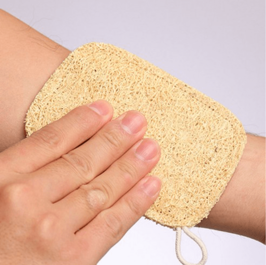 Natural Loofah Sponge