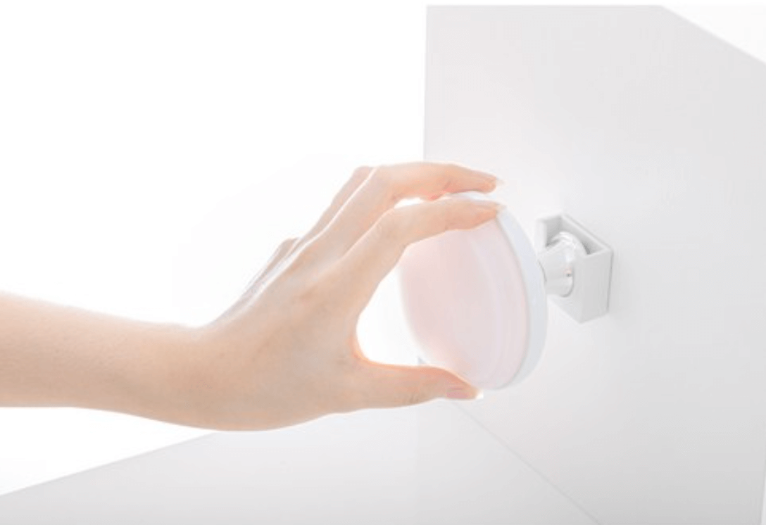 Benton Pore Clear Brush