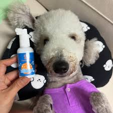 PetsRang Pet Gargl Gargle.
